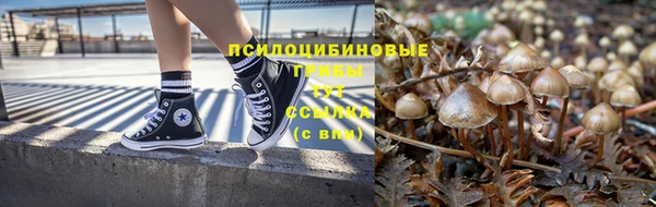 мескалин Алексин