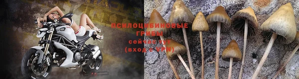 мескалин Алексин